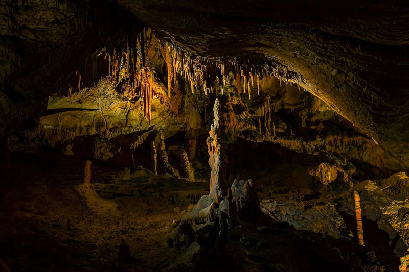 Future Exploration